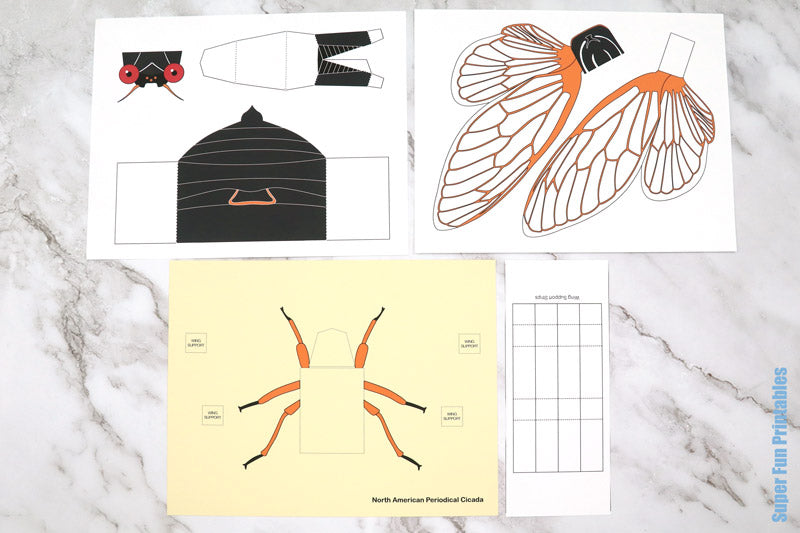 3D Paper Cicada
