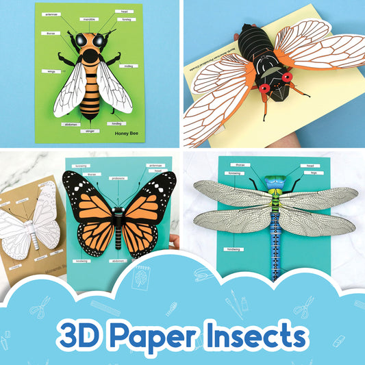 Realistic 3D Paper Insects