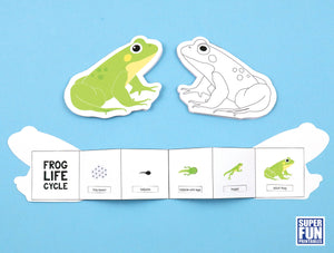 Frog Lifecycle Bundle