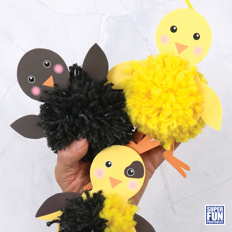 Pom Pom Chick