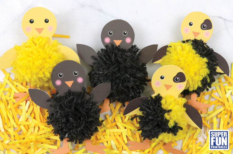 Pom Pom Chick