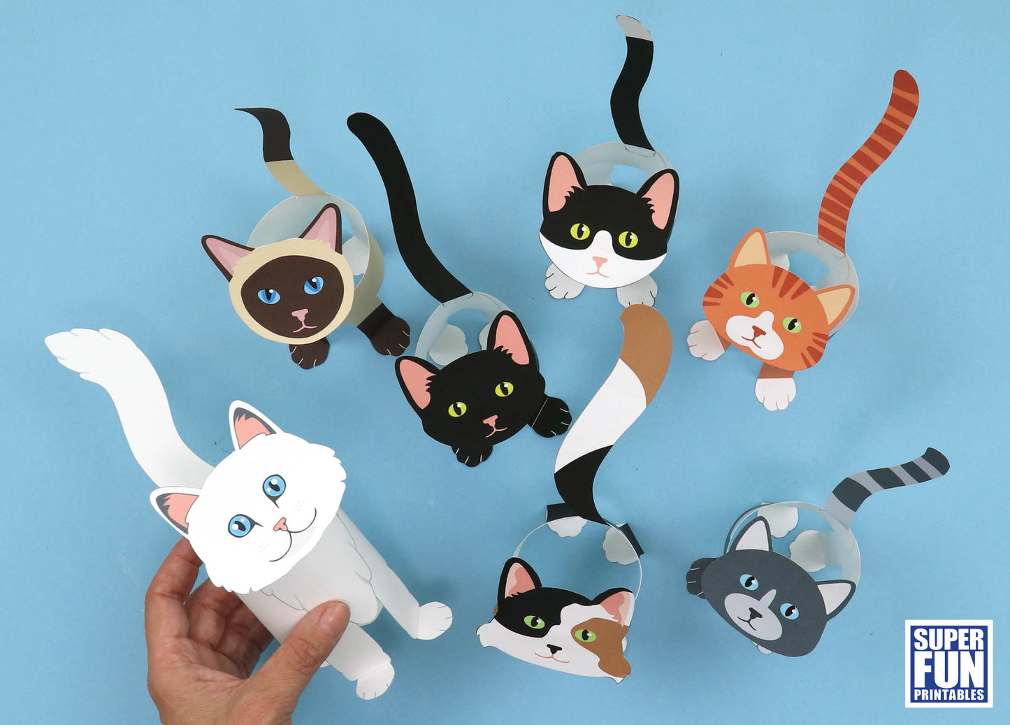 Paper Cats