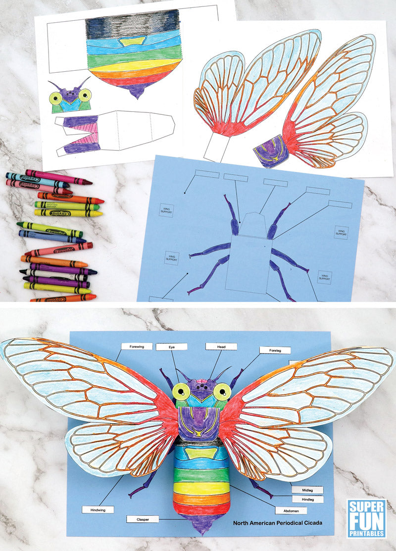 3D Paper Cicada