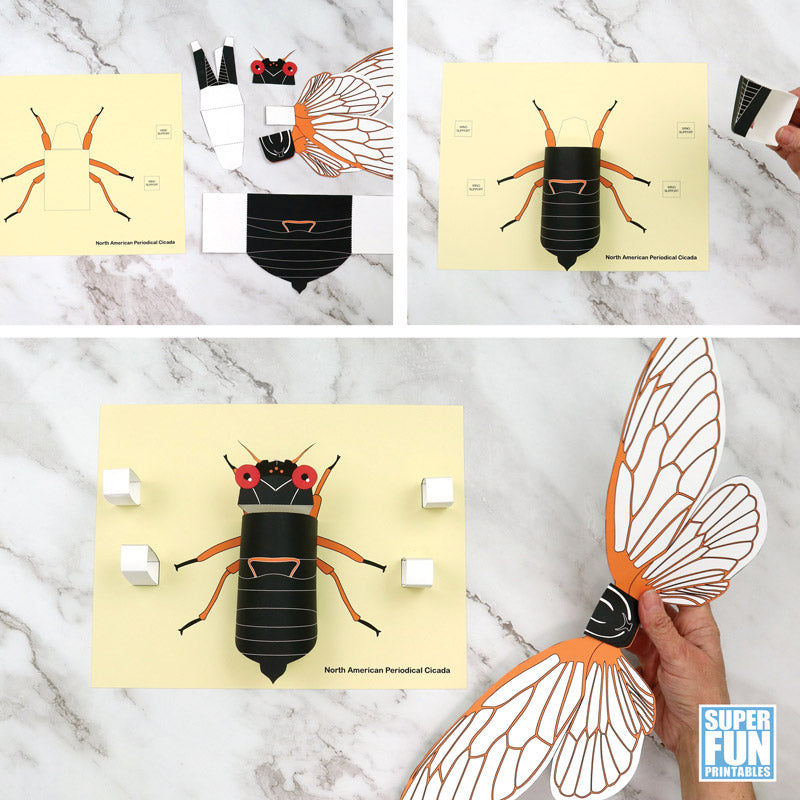 3D Paper Cicada