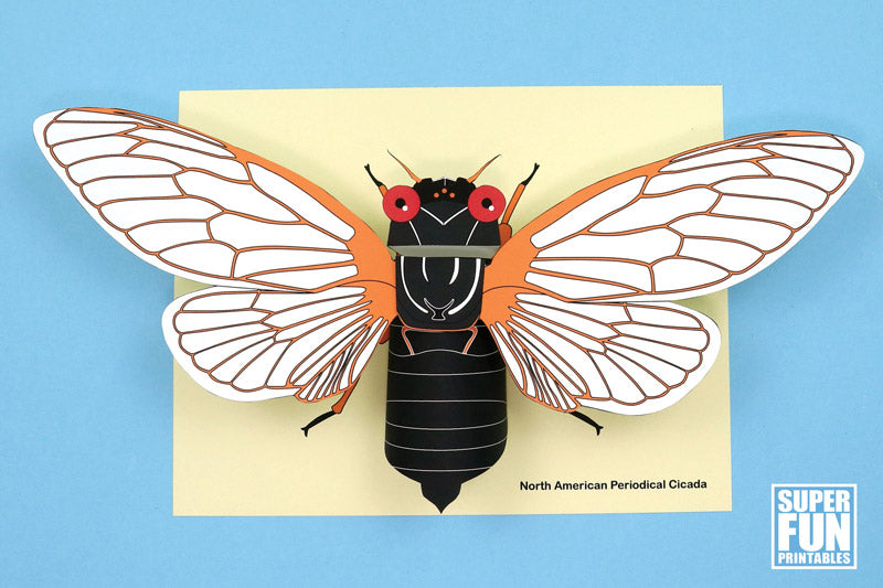 3D Paper Cicada