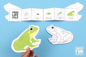 Frog Life Cycle Booklet