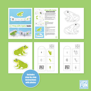 Frog Life Cycle Booklet