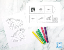 Frog Life Cycle Booklet