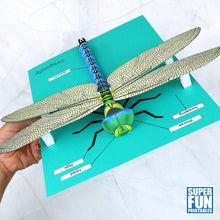 3D paper dragonfly