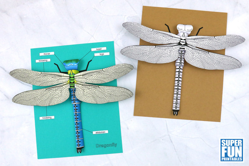 Krafty Kids DIY 3D Suncatcher Kit - Dragonfly