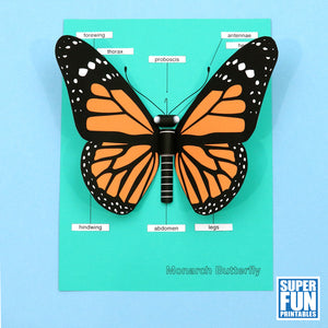 3D Monarch Butterfly craft
