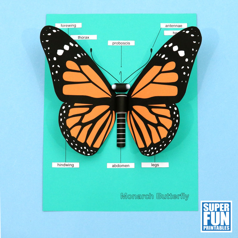 3D Monarch Butterfly craft