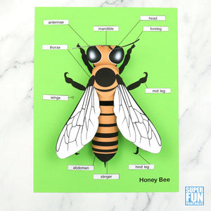 3D paper bee